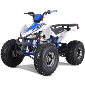 Tao Motor CHEETAH PLATINUM ATV, 120cc Air-Cooled 4-Stroke, Single Cylinder, Fully Automatic with Reverse