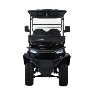 Massimo MEV2X 48V Electric Golf Kart