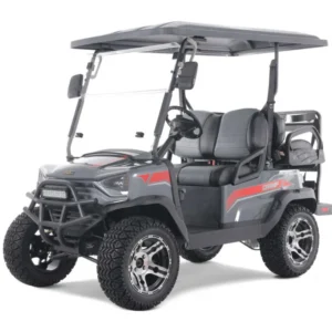 Tao Motor Champ Electric Golf Cart, Large Colorful TFT Display, 48V AC 5KW KDS Motor
