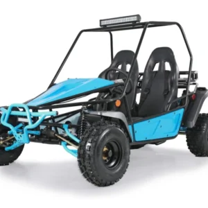Tao Motor Baja Sport 200 Go-Kart, Air-Cooled 4-Stroke, Fully Automatic with Reverse