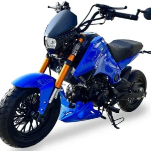 Icebear Fuerza 125cc Street Bike(PMZ125-1)